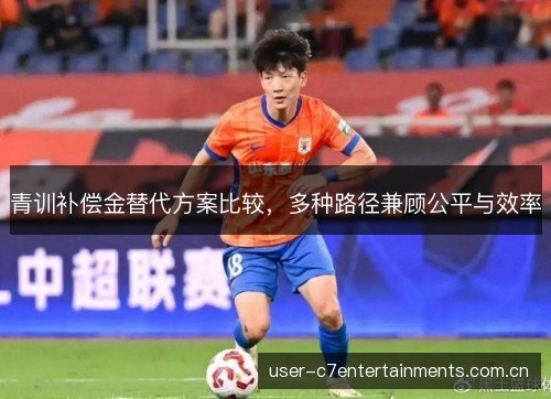 青训补偿金替代方案比较，多种路径兼顾公平与效率